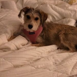 Meet your Posher, Stacey